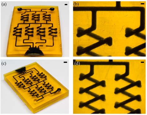 Highly Fluorinated Methacrylates for Optical 3D Printing of ...