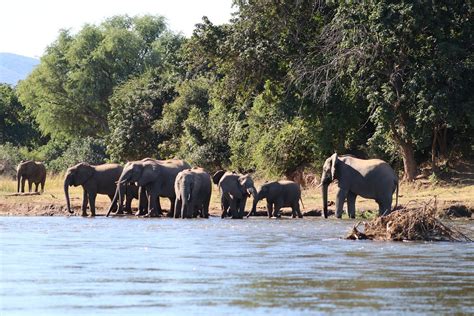 The 10 Best Hotel Deals in Lusaka Province (Apr 2026) - Tripadvisor