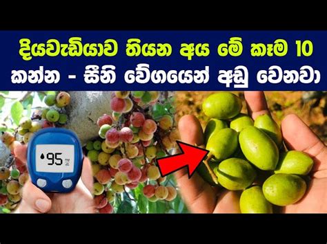 දියවැඩියාව තියන අය කන්නම ඕන කෑම ජාති 10 ක් | 10 Best Foods To Lower Or ...