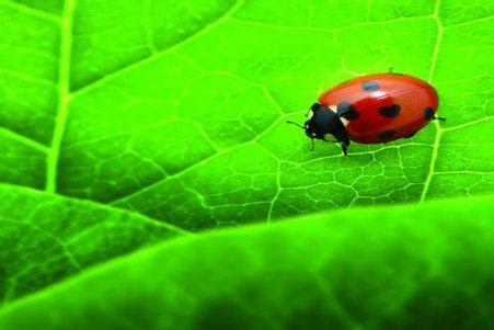 HORIBA India - HORIBA