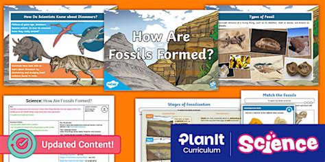 Mary Anning Fossils | Science | How Fossils Are Formed | KS2