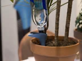 法国厂商推出智能花盆 可自动给花浇水施肥(图)_新浪新闻