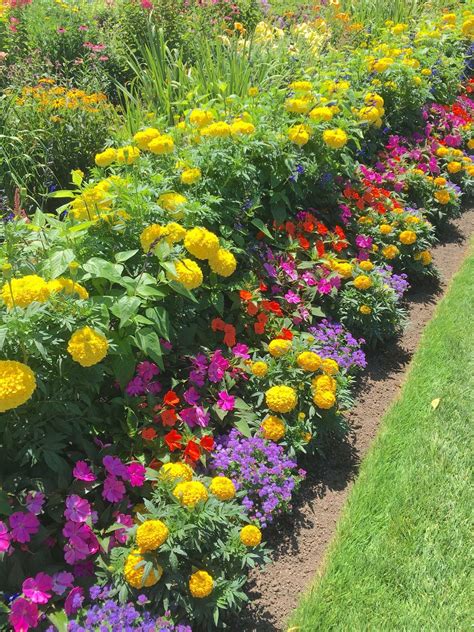 20 Flower Garden Border Design Ideas You Cannot Miss | SharonSable