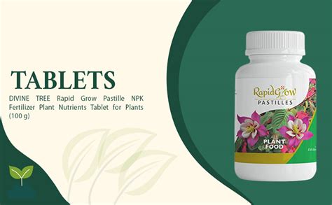 DIVINE TREE® Rapid Grow Pastille | Slow Release NPK Plant Nutrition for ...