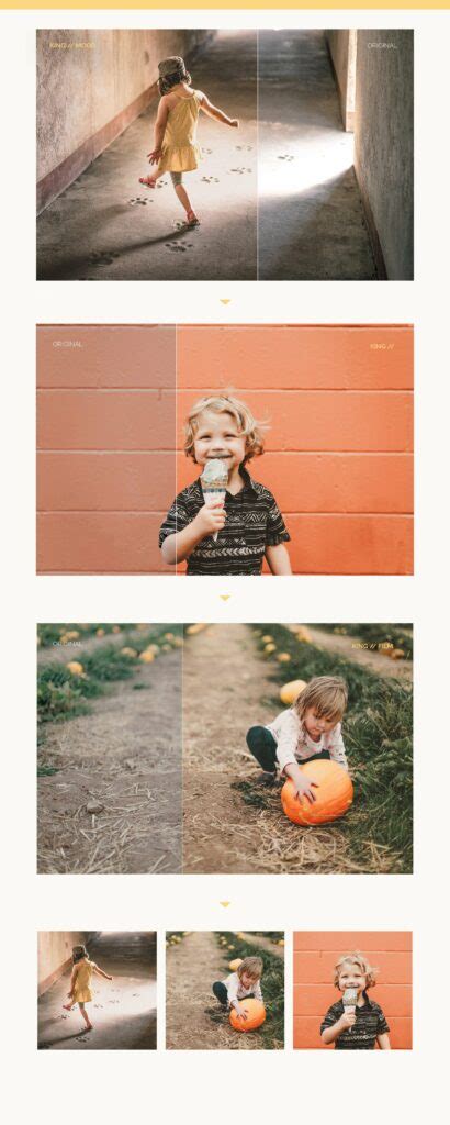 Lightroom Collection Set 的图像结果