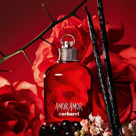 Cacharel Amor Amor Eau De Parfum For Women 100ML – Perfume24x7.com