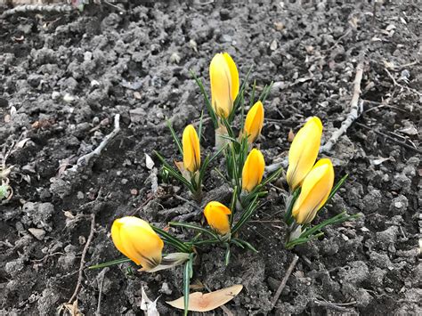 Java Spring Bucket 的图像结果