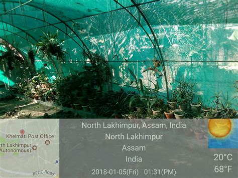 North Lakhimpur College (Autonomous)