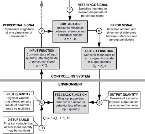 Image result for Negative Feedback Loop Control