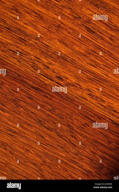 Image result for Dictionary Definition in Python