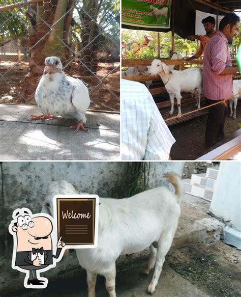 Velu Chicken, Coimbatore - Restaurant menu, prices and reviews