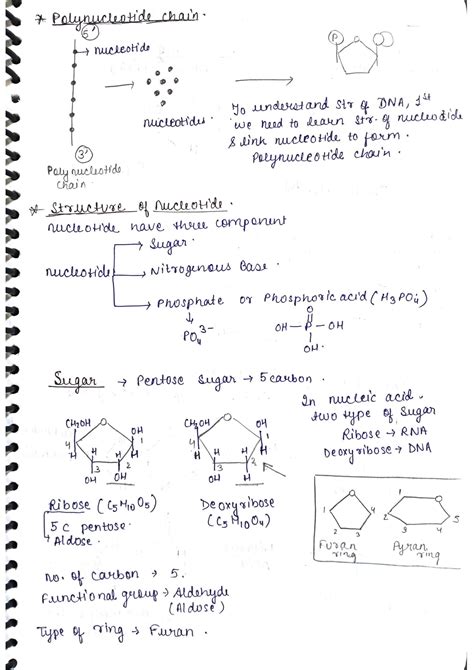 DNA Transformation Class 12 的图像结果