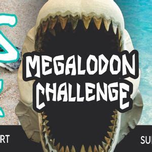 Megalodon Weekend; Shark’s Tooth 10K, Venice Municipal Airport, 1 March ...