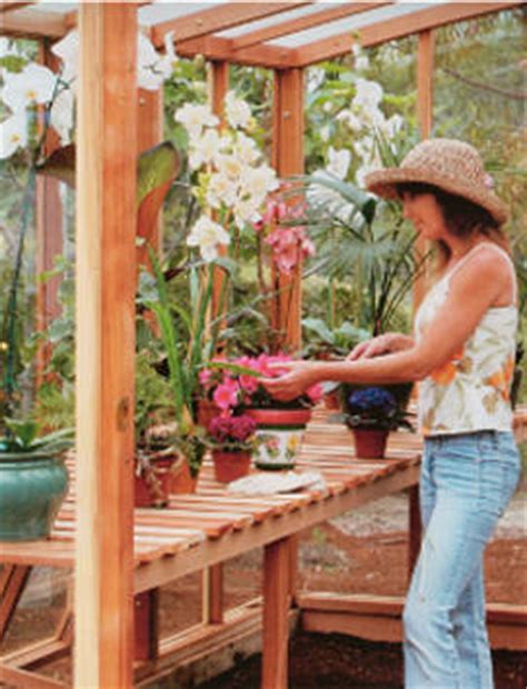 Santa Barbara Deluxe 6X8 Redwood Lean-To Greenhouse | Free Shipping