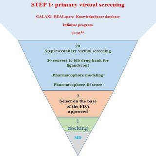 Example of MSD Dynamic Simulation 的图像结果