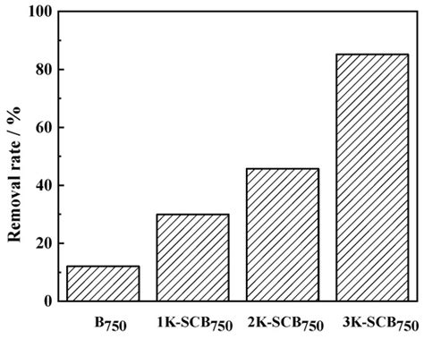 Effective Use of Sugarcane-Bagasse-Derived KOH-Activated Biochar for ...