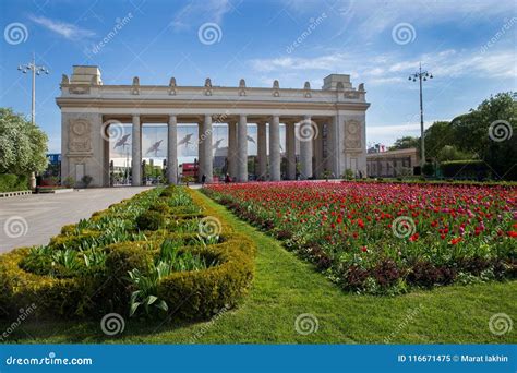 Gorky Park Moscow stock image. Image of tree, walk, gorky - 116671475