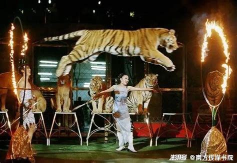 2015北京马戏团表演 嘻游部落大马戏亲子节-亲子游-墙根网