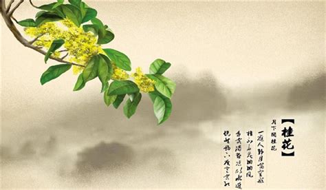 关于桂花的诗句欣赏，古诗词里桂花香-传统文化杂谈