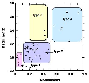 Custom Algorithm Development 的图像结果