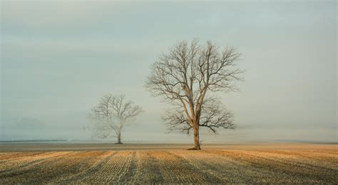 Consejos para plantar durante el invierno - BLOG