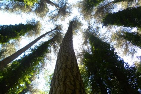 THE 5 BEST Gargano Peninsula Hiking Resorts 2025 (with Prices)