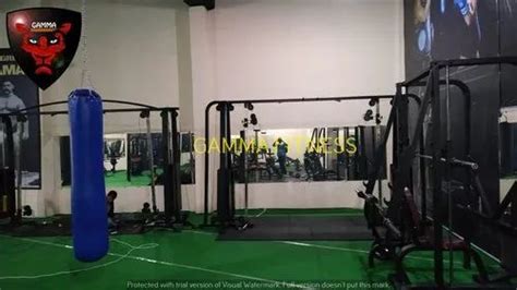 Gym Machines - Chest Press Hammer Manufacturer from Jalandhar