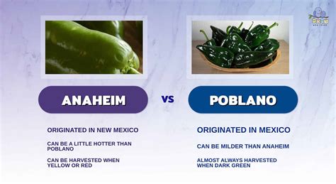 Anaheim Pepper vs. Poblano: Little Known Facts