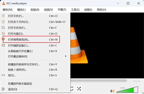 Rtsp VLC Player 的图像结果