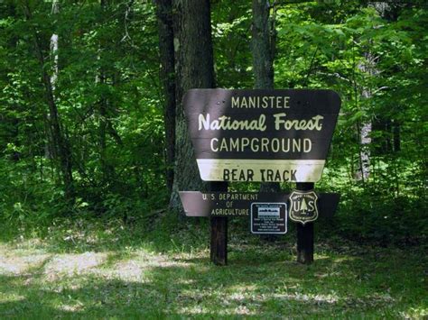 Bear Track Campground Michigan: Your Next Outdoor Adventure