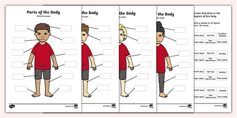 Body Parts Labeling Activity English/Spanish | Twinkl USA