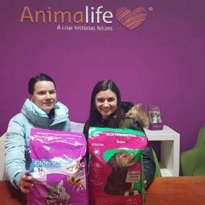 VFS Global Office Photos