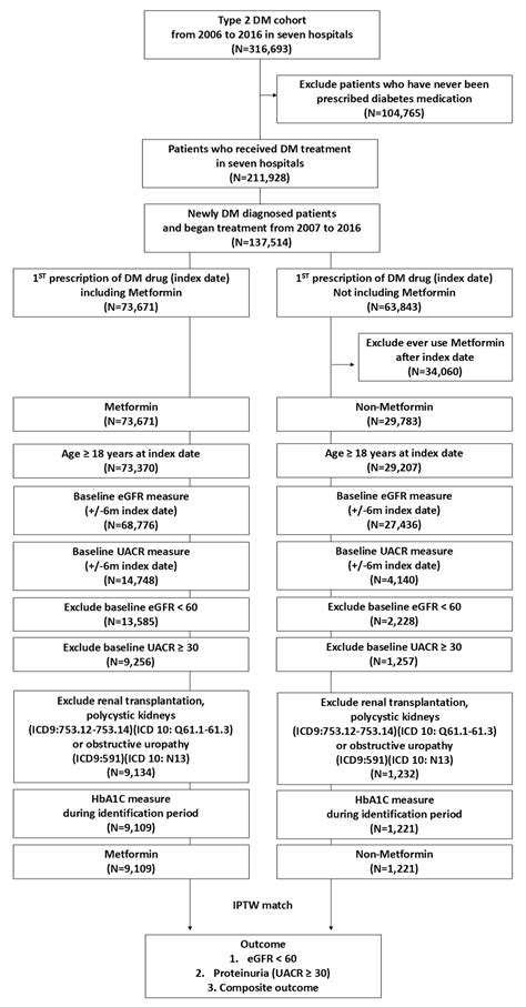 Role of Metformin in Preventing New-Onset Chronic Kidney Disease in ...