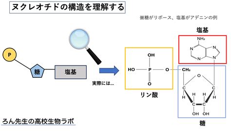 Image result for Loops Definition Computer Science