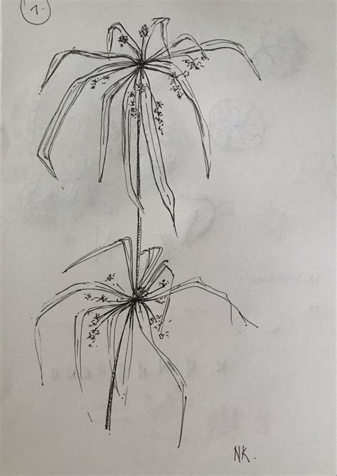 Image result for Papyrus Drawing