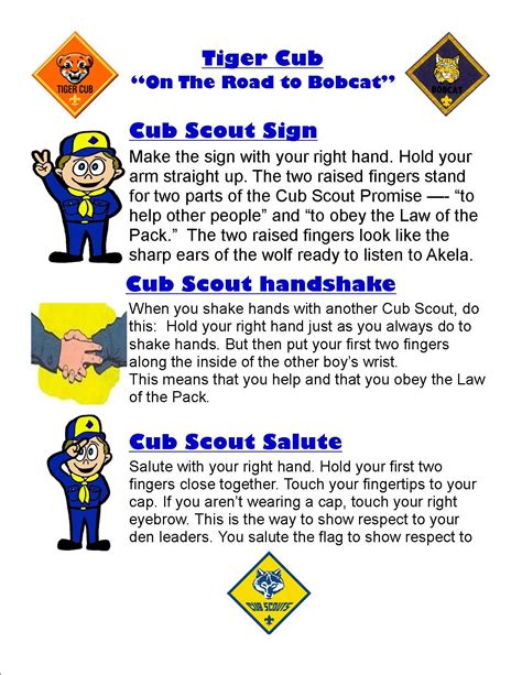 6 silly and simple cub scout skits for campfires – Artofit