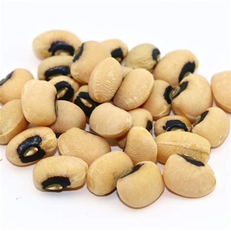 Black-Eyed Peas Seeds at Harold Chappell blog