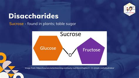 Monosaccharides Disaccharides And Polysaccharides