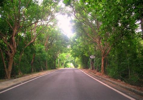 Rincon Photos - Featured Images of Rincon, Puerto Rico - Tripadvisor