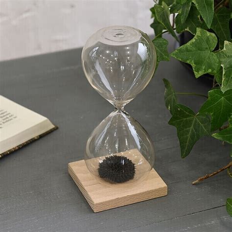 Image result for How to Read a Text File in Python