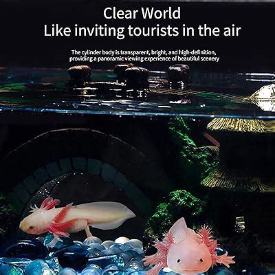 HUIFACAI Transparent Acrylic Fish Tanks Large Capacity India | Ubuy