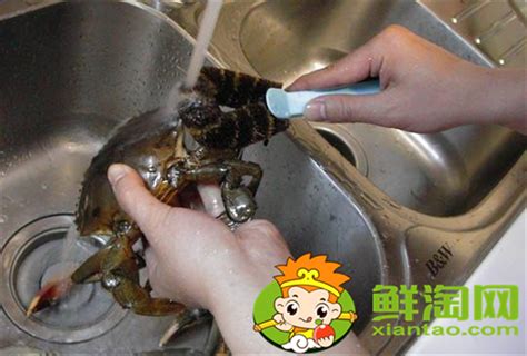 大闸蟹怎么洗才干净步骤，大闸蟹的做法和吃法 - 鲜淘网