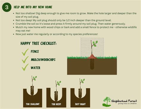 Image result for Tree Planting Guide