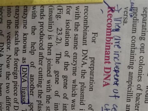 In recombinant DNA technology, a plasmid vector is cleaved by . a ...