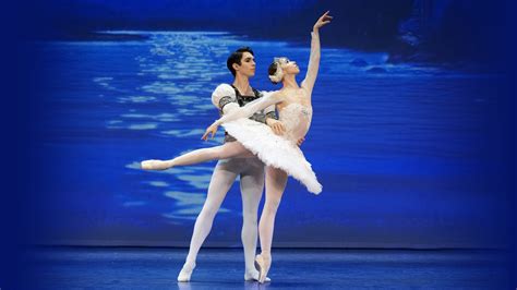 Varna International Ballet - Swan Lake Tickets | New Theatre Oxford in ...