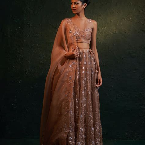 Discover Understated Glamour: Fawn Organza Lehenga Set with Embroidered ...