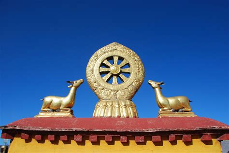 Dharma in Hinduism vs Buddhism | A Comparison