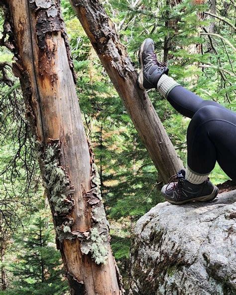 Fall Harvest Wellness Walk-Nature Bathing @ South Platte Park, South ...