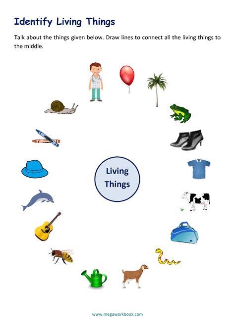 Characteristics Of Living Things Worksheet Middle School Living And