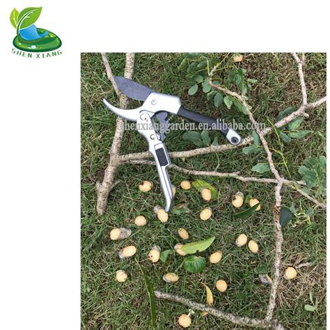 Image result for Best Laser Tree Branch Cutter
